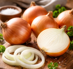 “지금이 가장 달다”… 국산 햇양파 본격 출하, 소비 확대 시험대