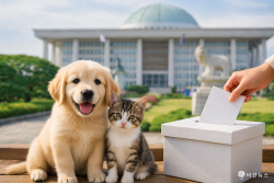 동물단체들, 지방선거 앞두고 동물복지·비건 정책 촉구