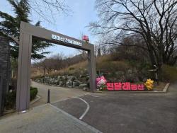 부천시, 원미산 진달래동산 포토존 조성… 주민참여예산 4,000만 원 투입