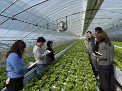 논산시, ‘1인 특기 작물 지정’운영으로 전문지도 역량 강화,‘직원 1인 1특기 작물 지정’동아리 제도 운영