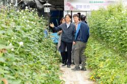 고양시, 고품질 장미 재배 농가 방문…화훼 산업 경쟁력 확인