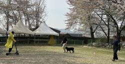경기도, “맹견 키우려면 올해 말까지 꼭 허가 받으세요”
