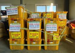 중국산 사과묘목 63만주 밀수 적발…여의도 1.4배 규모 재배 가능