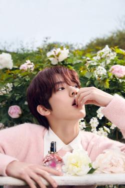 랑방, ‘에끌라 드 아르페쥬 화이트 티’ 출시