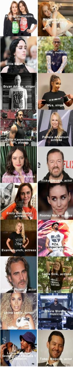 세계 유명인 20명 비건 채식인 소개