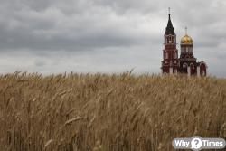 "우크라이나 점령지서 훔친 곡물 85만t 불법 수출"