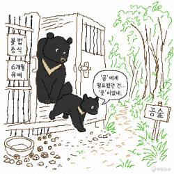 [하찮은 만평] 새끼 반달‘곰’에게 필요했던 건 ‘문’이었네