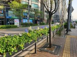 구로구, 주요 도로변·지하철역 주변에 걸이화분 596개 설치 완료