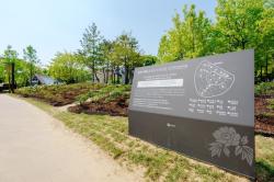 오산시, 고인돌공원 모란 만개…도심 속 봄 정원 눈길