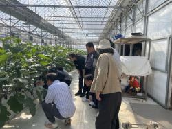 경기도, 신규 영농인 대상 딸기·포도 농작업 전문 교육 운영