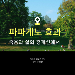 파파게노 효과 죽음과 삶의 경계선에서