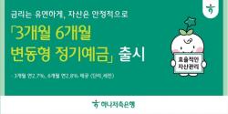 하나저축은행, 효율적 자금관리를 위한 `3개월 6개월 변동형 정기예금` 출시