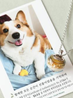 펫포레스트, 반려동물 기념 주얼리 홈페이지 오픈
