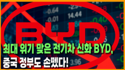 [Why Times 정세분석 3994]  최대 위기 맞은 전기차 신화 BYD, 중국 정부도 손뗐다!