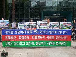 서울시 비둘기 단속 규탄…불임먹이 정책 촉구
