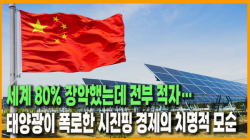 [중국관찰] 세계 80% 장악했는데 전부 적자…태양광이 폭로한 시진핑 경제의 치명적 모순