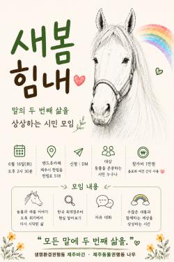 퇴역 경주마 ‘새봄’ 두 번째 삶 논의하는 시민 모임 제주서 열린다