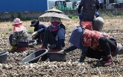외국인 계절근로자 10년, 농촌 인력난 '숨통'…부작용도 속출,.논산시 총사업비 100억원을 투입'논산형 외국인 계절근로자 기숙사'건립 추진