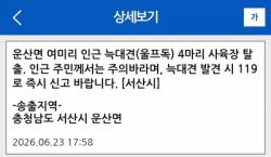 늑대개 등 11마리 탈출, 4마리 미포획…서산시, 일주일 지나 재난문자(종합)