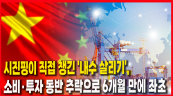 [중국관찰] 시진핑이 직접 챙긴 '내수 살리기', 소비·투자 동반 추락으로 6개월 만에 좌초