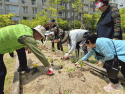 계룡시, 어르신 대상 ‘은빛공감 텃밭 이야기’ 성료   - 채소 키우며 정서 안정·이웃 소통...치유농업 효과 톡톡 -