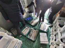 "국산으로 둔갑한 중국산 민물장어"... '박스갈이' 수법으로 26억 원 챙긴 업자 검찰 송치