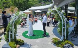 "결혼도 여행도 섬에서"… 경남, 조도·지심도 '웨딩 테마섬'으로 키운다