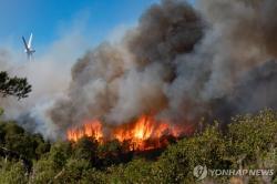 프랑스 폭염 뒤흔든 동시다발 산불…축구장 1300개 면적 잿더미