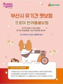 부산시, 유기견 입양 시민에 '1년 펫보험' 무상 지원