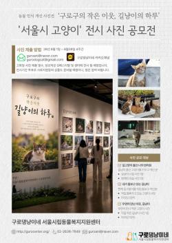 구로구, 길고양이 사진 공모전…9월 G페스티벌 전시
