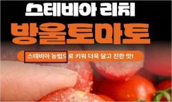 스테비아 토마토, 농산물 아닌 가공식품…허위 광고 등 적발