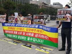 세계 개의 날 맞아 ‘강아지 공장’ 폐지 촉구