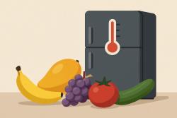 과일·채소 냉장 온도 따라 향과 식감 달라진다