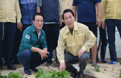 박수현 충남지사  백성현 논산시장, 돌풍 피해 현장 점검   - 피해 현장 살피고 농가 애로 청취…신속한 피해조사·복구 지원 총력 -