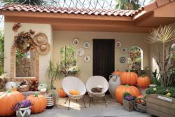 서울식물원, 나만의 색을 찾는 참여형 전시 ‘컬러헌터’ 운영