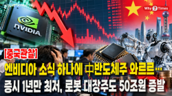 [중국관찰] 엔비디아 소식 하나에 中반도체주 와르르…증시 1년만 최저, 로봇 대장주도 50조원 증발