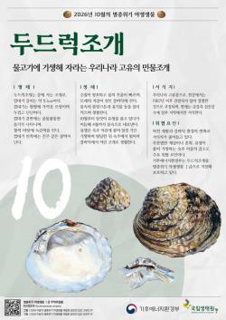 기후에너지환경부, 10월 멸종위기 야생생물로 `두드럭조개` 선정