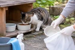 “먹고 난 그릇은 바로 치워요”…길고양이 급식소 위생 관리