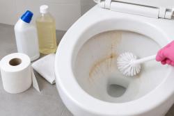 “변기 안쪽 때, 휴지 붙이면 될까?”…얼룩 따라 세정제 달라