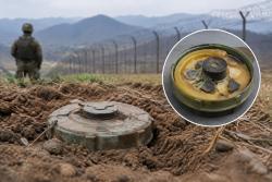 합참, DMZ 지뢰 폭발 원인 북한군 매설로 최종 판단
