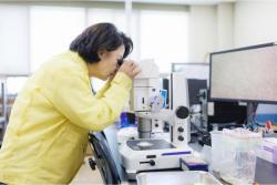 추미애 “소나무재선충병 확산 막아라”…경기도, 광역방제 총력전