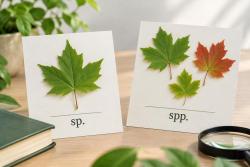 식물 학명 ‘sp.’와 ‘spp.’, 종 수로 구분