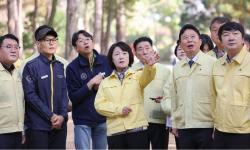 추미애 경기지사, 가평 소나무재선충병 방제 지원 지시…특별방제구역 지정 추진
