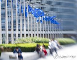 EU, 러시아 하이브리드 위협에 맞서 솅겐 비자 제한 검토