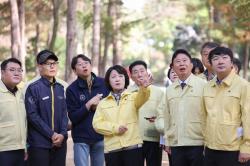 가평군 전역 소나무재선충병 특별방제구역 지정…29일부터 시행