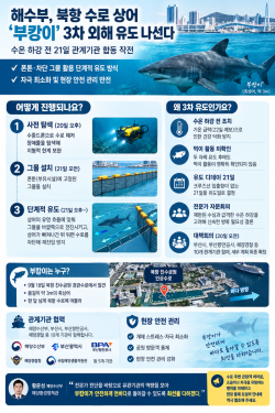 해수부, 북항 수로 상어 ‘부캉이’ 3차 외해 유도 나선다