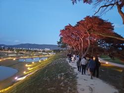 국립공원 3곳, 야경 특별탐방 시범 운영…정숙 탐방 원칙
