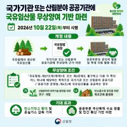 국산목재 무상양여 대상 확대…국가기관·산림 공공기관 연구 지원