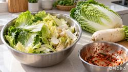 광주 5개 자치구, 김장철 음식물 전용봉투 도입