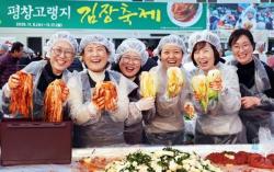 평창 고랭지 김장축제 11월 4일 개막…체험 물량 20% 확대